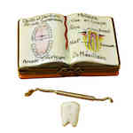 Magnifique Dentistry Book