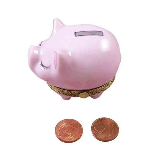Magnifique Piggy Bank with Slot with Coins Limoges Box