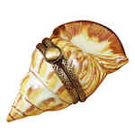 Magnifique Conch Shell