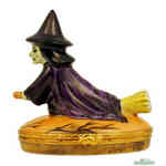Artoria Witch Riding Broom