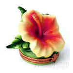 Artoria Hawaian Hibiscus