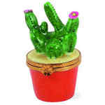 Artoria Cactus