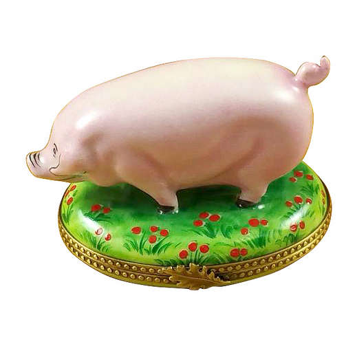 Rochard Pig on Green Base Limoges Box