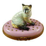 Rochard Cat on Pink Base